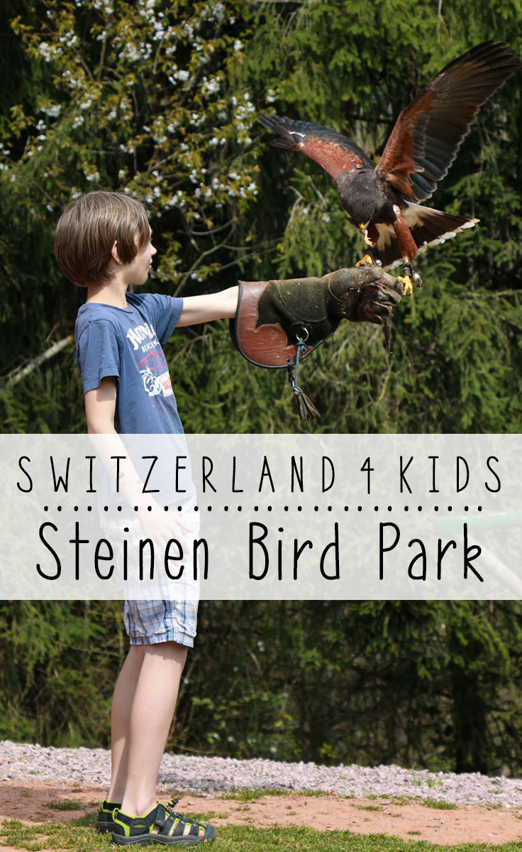 Fun bird park for the kids, with lots of beautiful birds, a bird show, bird and monkey feeding, playgrounds, etc. - Steinen, Germany near Basel, Switzerland