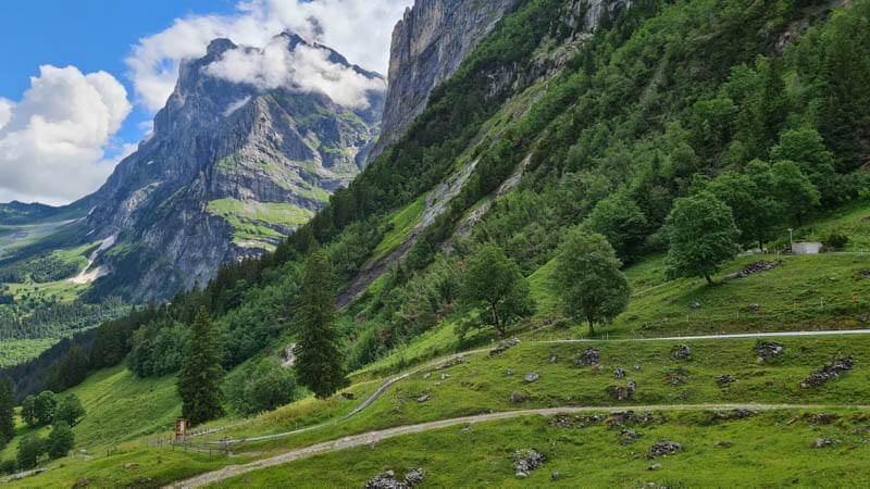 Lets You Slide Down the Alps in Switzerland