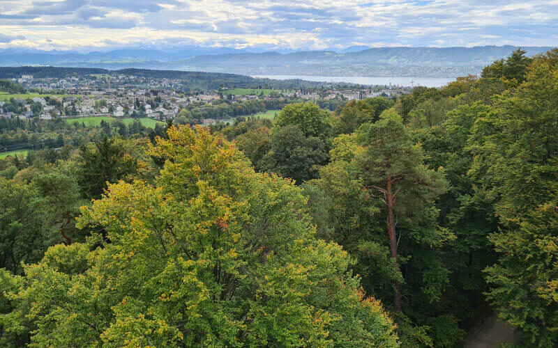 view from Loorenkopf Observation Tower near Zürich