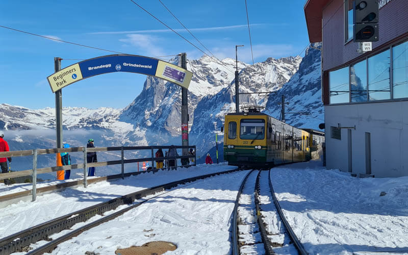 Grindelwald 