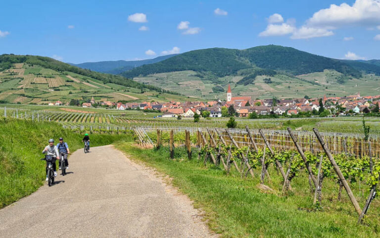 Alsace Bike Tour through Charming French Villages