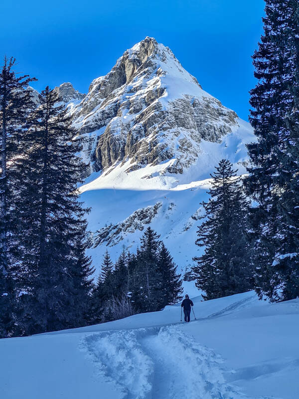 snowshoe hike on Obererbs trail through forest with Gross Kärpf mountain peak in the background