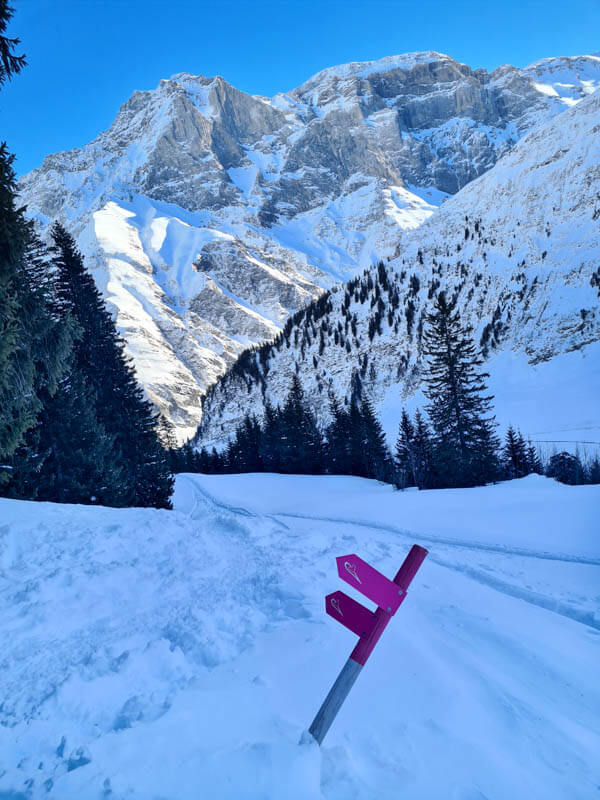 pink Swiss snowshoe trail marker and sign pointing to Obererbs path